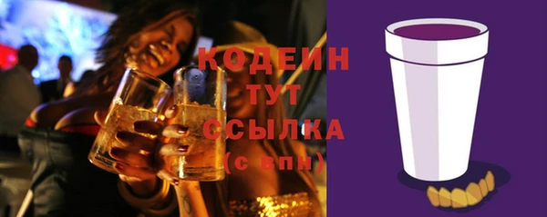 СК Осинники
