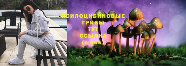 сатива Армянск