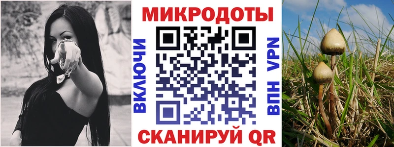Псилоцибиновые грибы GOLDEN TEACHER  купить наркотики сайты  Бабаево 